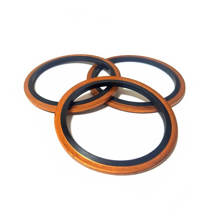 combination gasket8