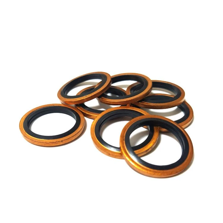 combination gasket washer