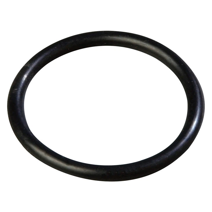 O-Ring For All Big Black Filter Housing