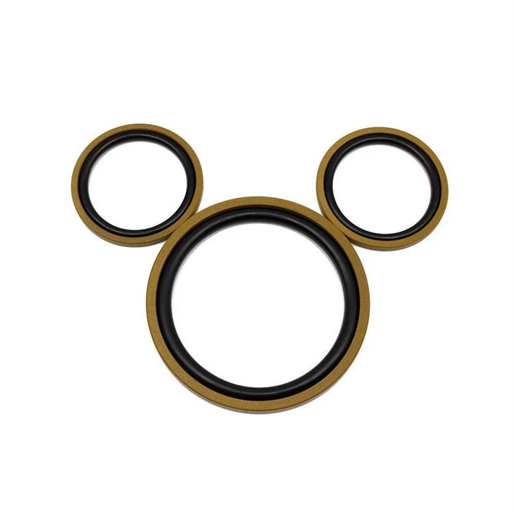 Hydraulic Piston SPGO Seal/Glyd Ring Compact Seals